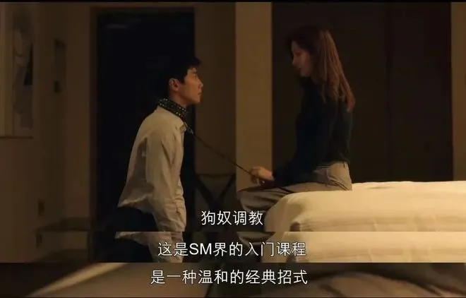 【西檬之家】BDSM关系入门：新人必知的DS与核心原则