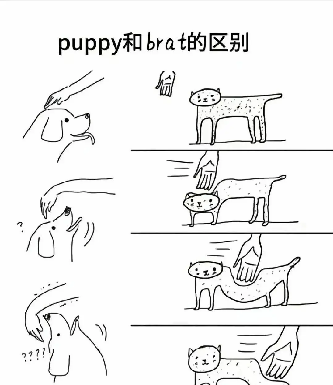 BDSM - 微信图片_2025-11-13_180940_765