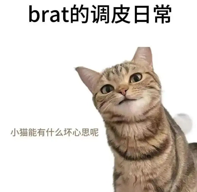 【西檬之家】斯慕圈是什么？BDSM新人必读的入圈指南