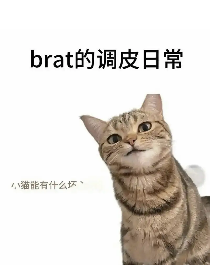 西檬之家-BDSM OTK实践指南