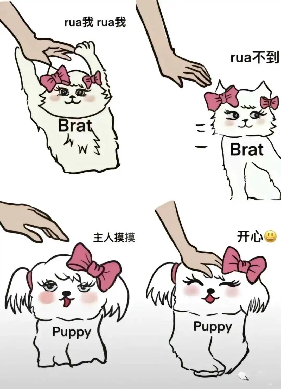 西檬之家-BDSM入圈指南：理解SSC原则与安全沟通